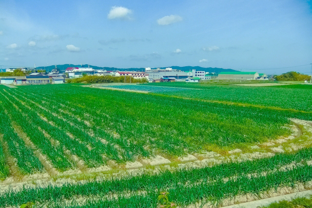 花の国 淡路の風景01