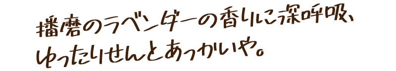 播磨のラベンダーの香りに深呼吸、ゆったりせんとあっかいや。