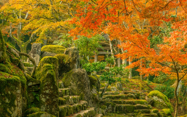 里の国 丹波の風景01